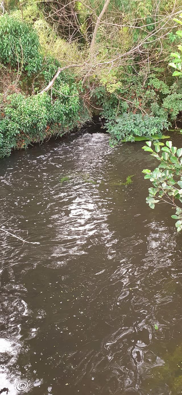 2022-08-21 16 Angles Way 20 - Beccles East.jpg