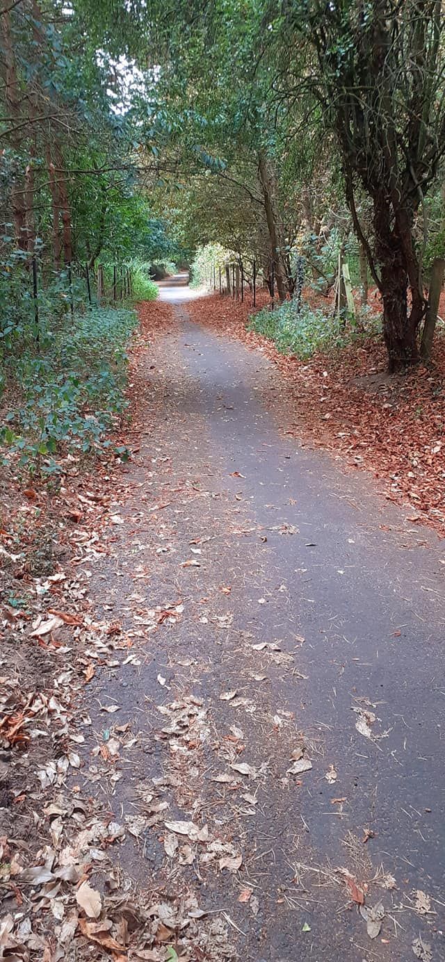 2022-08-21 24 Angles Way 20 - Beccles East.jpg