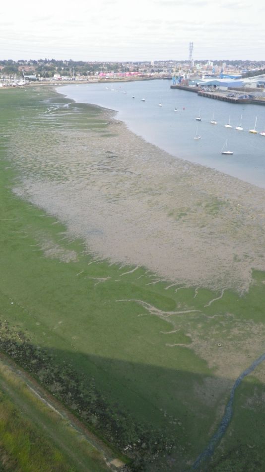 2020-09-08 07 Ipswich.jpg