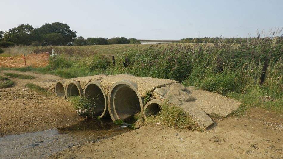 2020-09-08 26 Ipswich.jpg