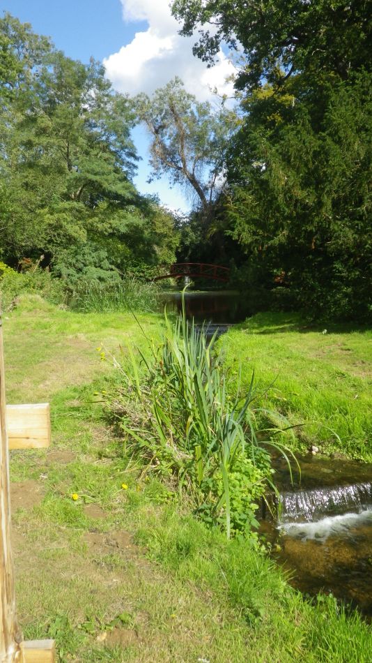 2020-09-09 15 Nacton.jpg