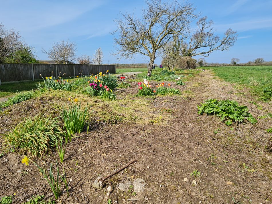 2023-04-16 05 Hales.jpg