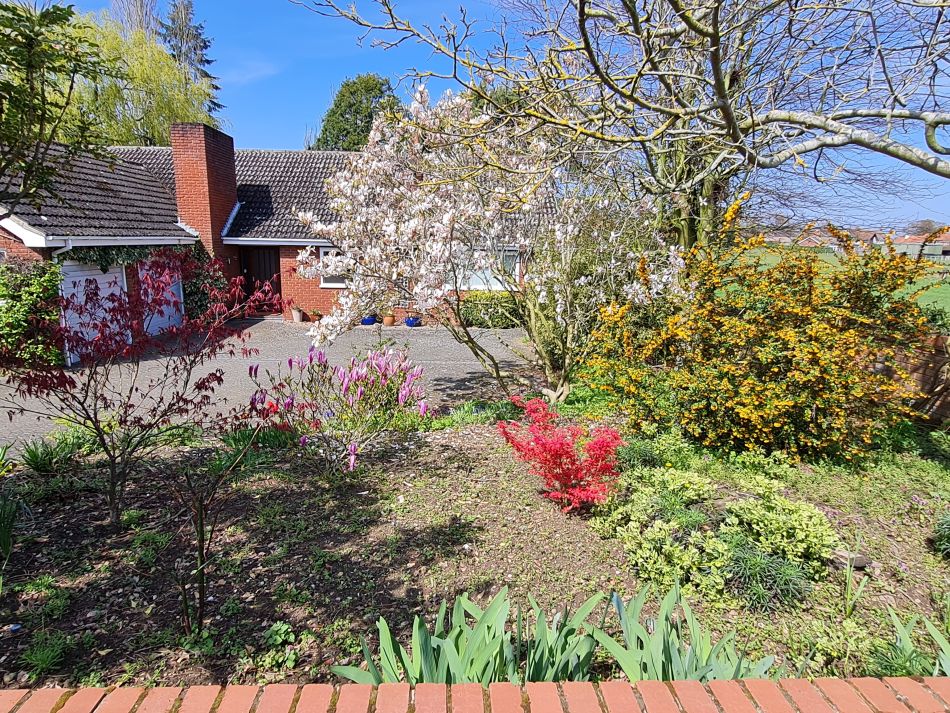 2023-04-16 11 Hales.jpg