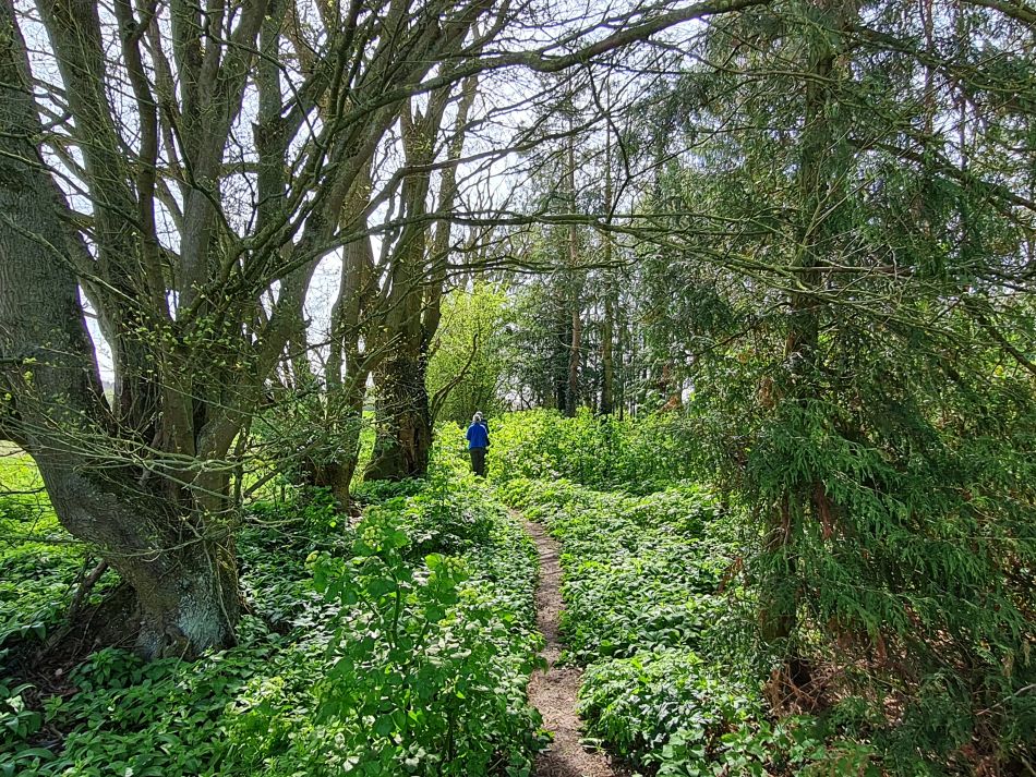 2023-04-16 16 Hales.jpg