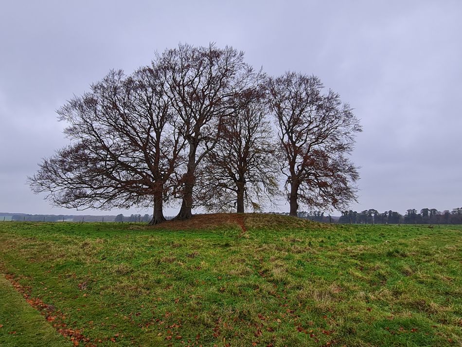 2021-11-24 07 Stonehenge and Amesbury.jpg