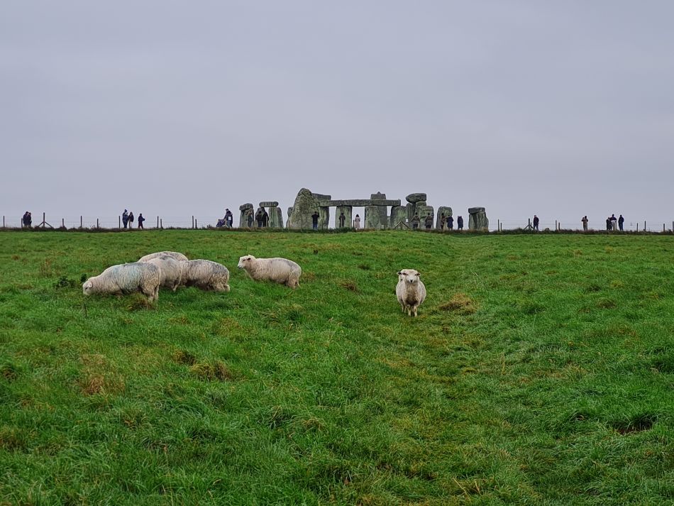 2021-11-24 13 Stonehenge and Amesbury.jpg
