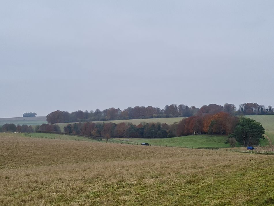 2021-11-24 43 Stonehenge and Amesbury.jpg