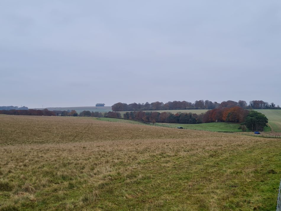 2021-11-24 44 Stonehenge and Amesbury.jpg