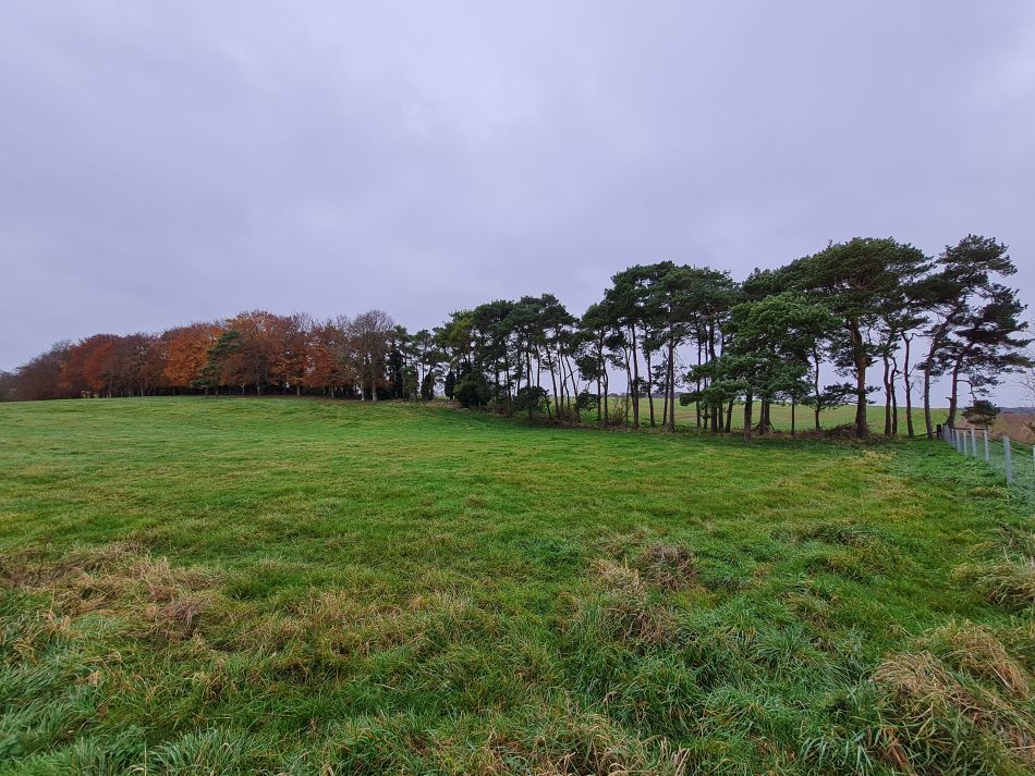 2021-11-24 45 Stonehenge and Amesbury.jpg