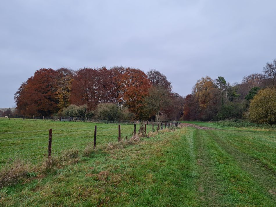2021-11-24 46 Stonehenge and Amesbury.jpg