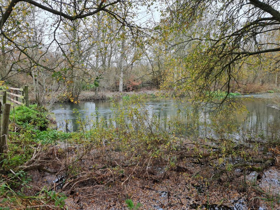 2021-11-24 47 Stonehenge and Amesbury.jpg