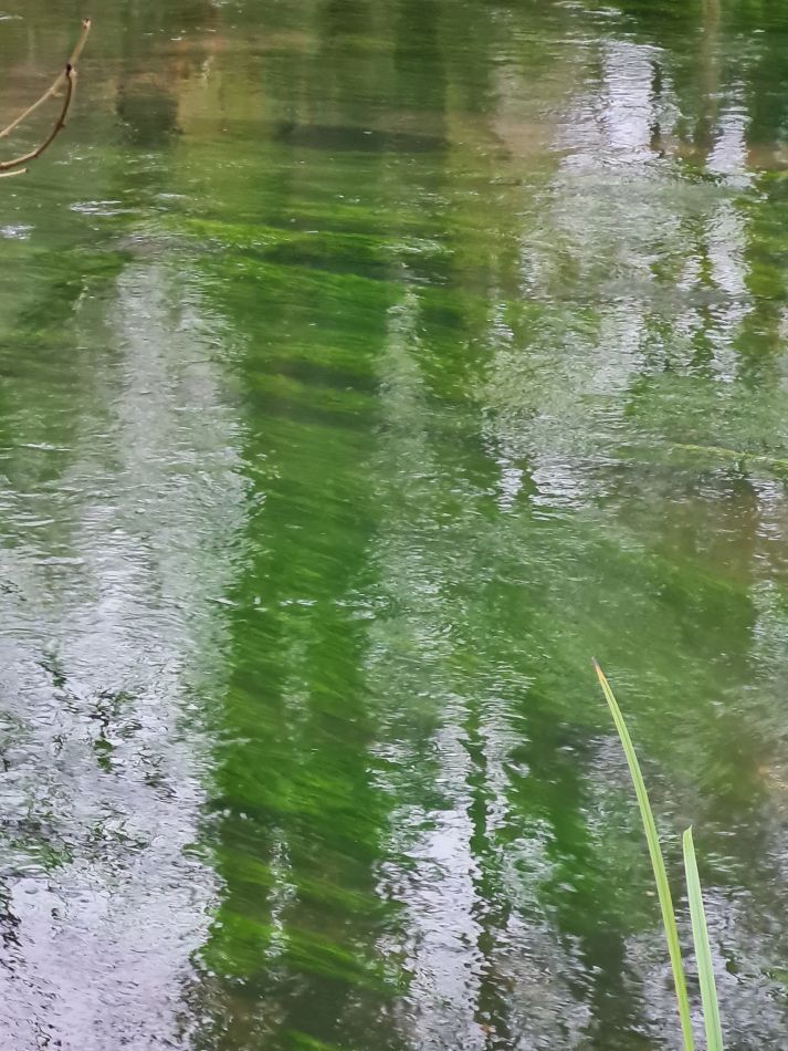 2021-11-24 54 Stonehenge and Amesbury.jpg