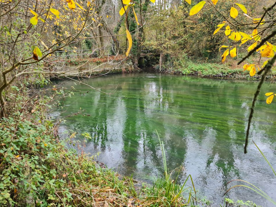 2021-11-24 55 Stonehenge and Amesbury.jpg