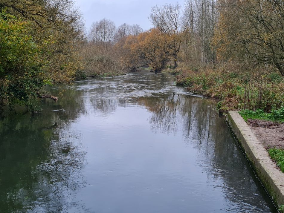 2021-11-24 56 Stonehenge and Amesbury.jpg