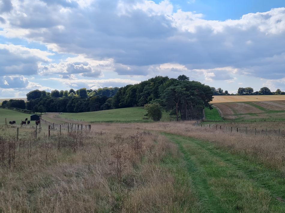 2022-09-21 20 Amesbury and Stonehenge.jpg