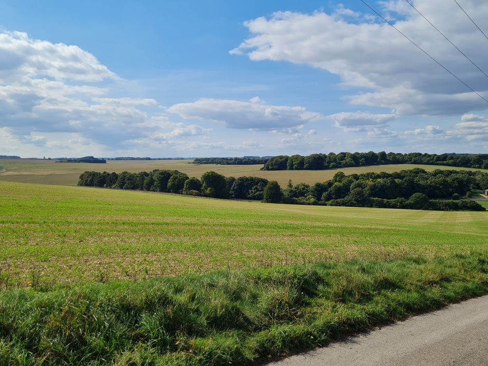 2022-09-21 26 Amesbury and Stonehenge.jpg