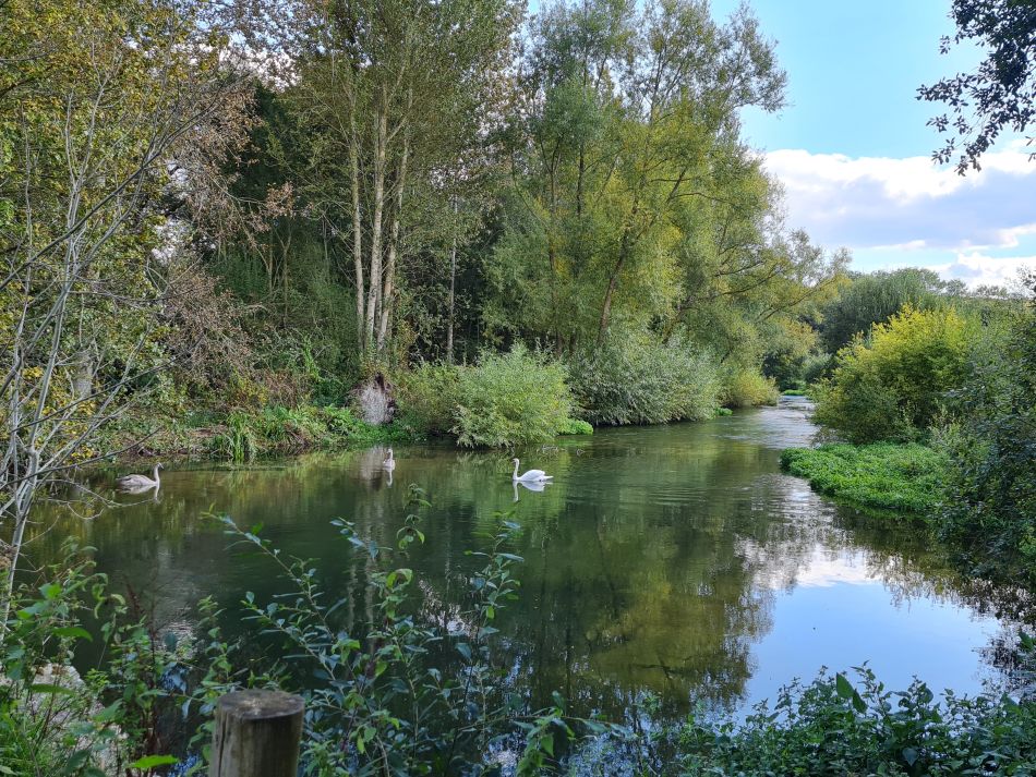2022-09-21 28 Amesbury and Stonehenge.jpg