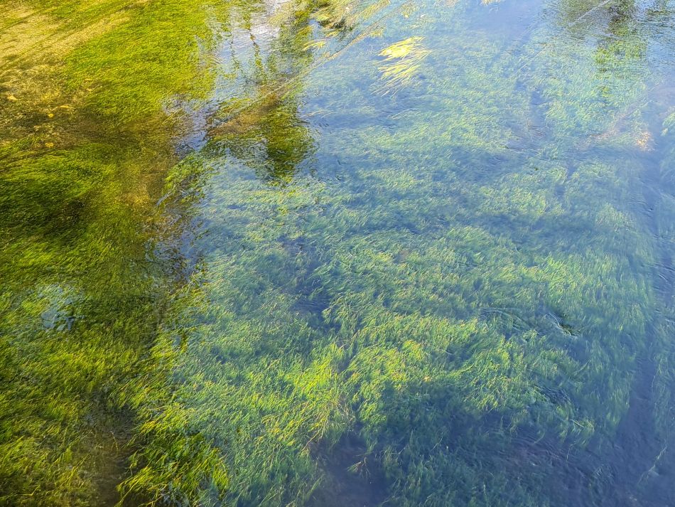 2022-09-21 35 Amesbury and Stonehenge.jpg