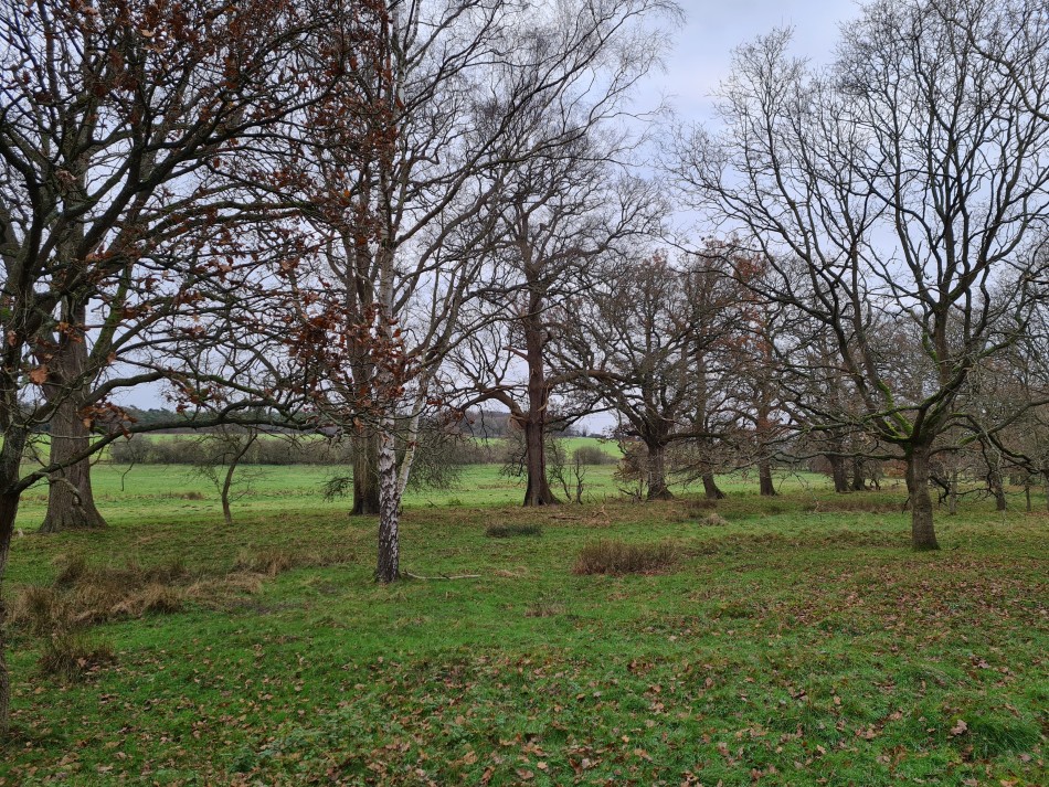 2015-06-04 06 Barnham.jpg