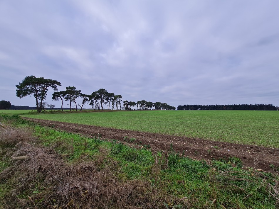 2015-06-04 09 Barnham.jpg