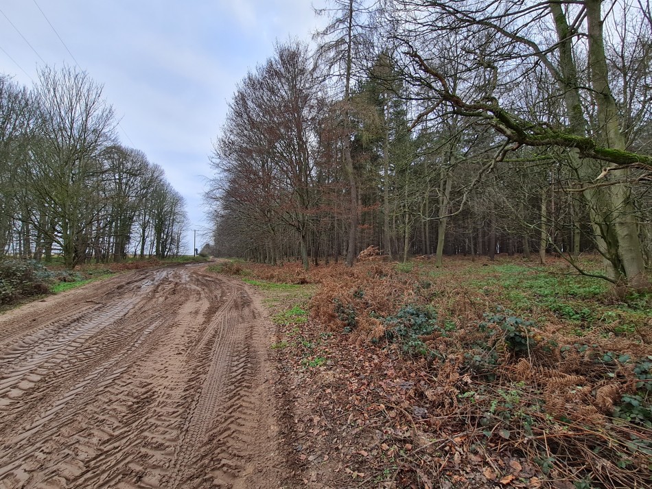 2015-06-04 11 Barnham.jpg