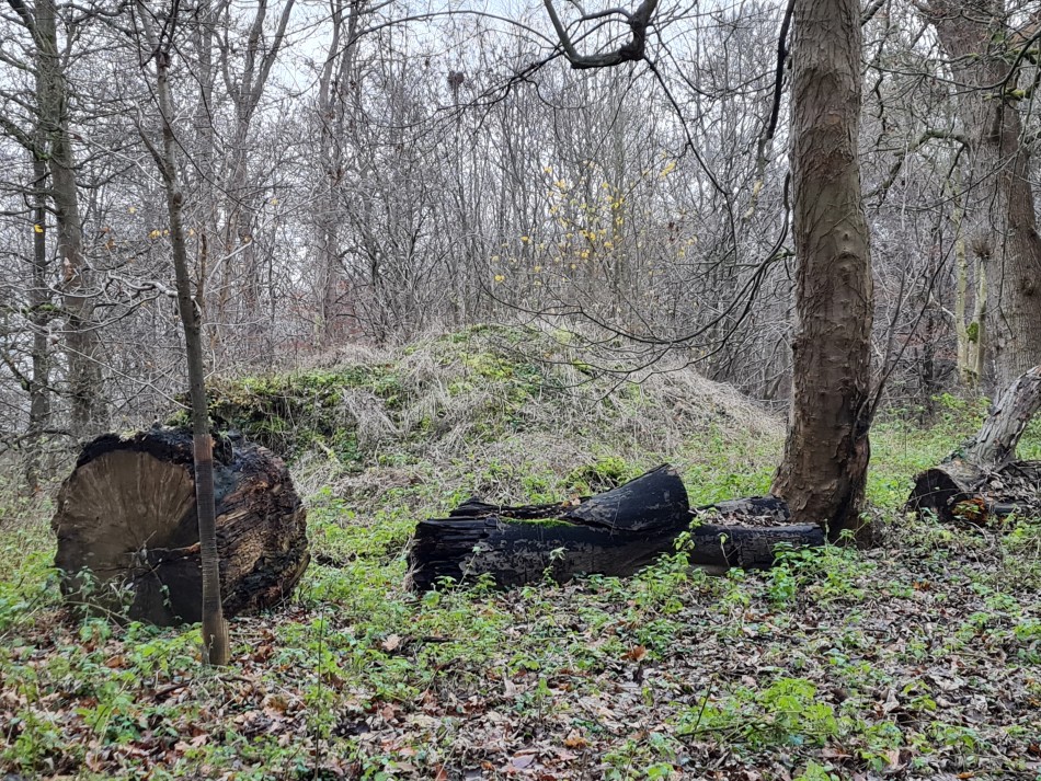 2015-06-04 16 Barnham.jpg