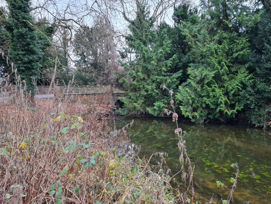 2015-06-04 17 Barnham.jpg