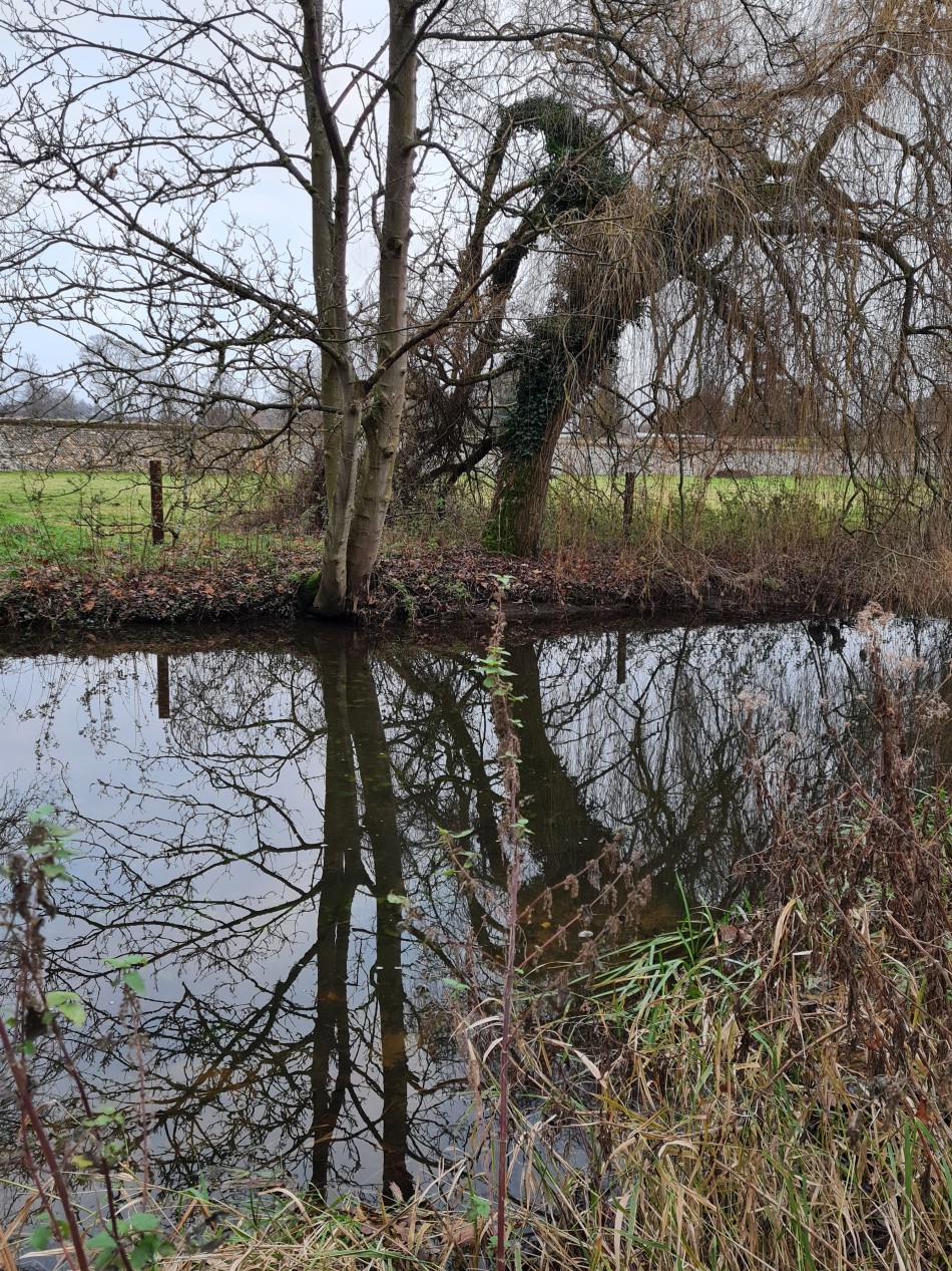 2015-06-04 18 Barnham.jpg