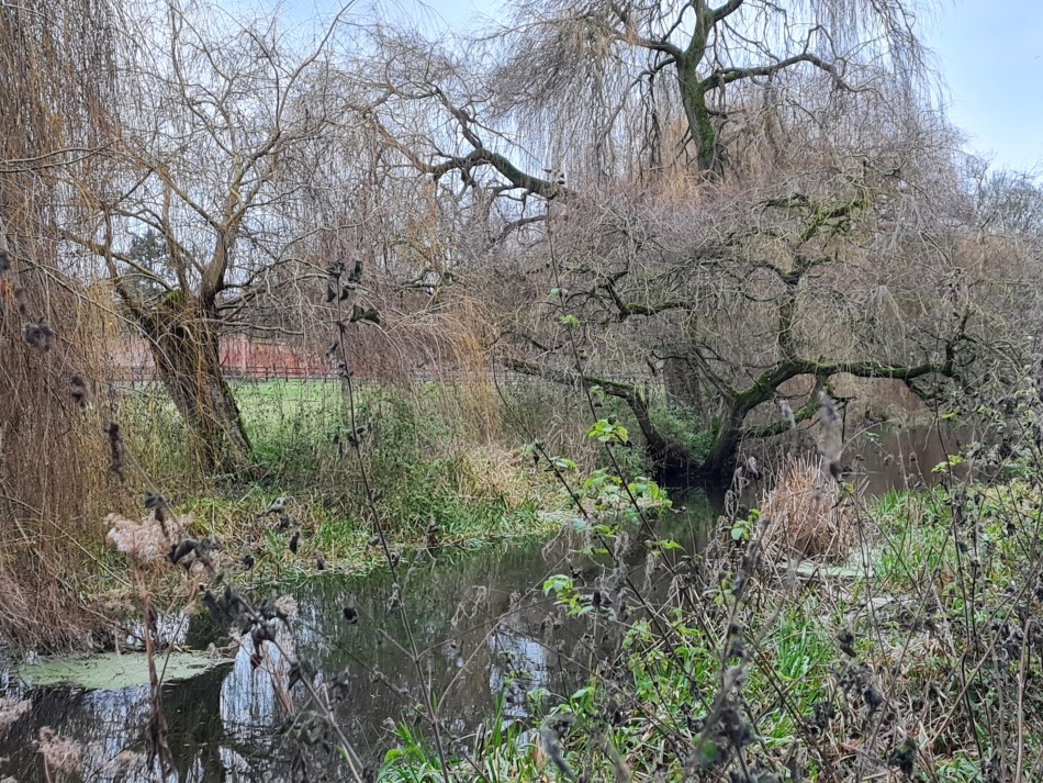 2015-06-04 19 Barnham.jpg