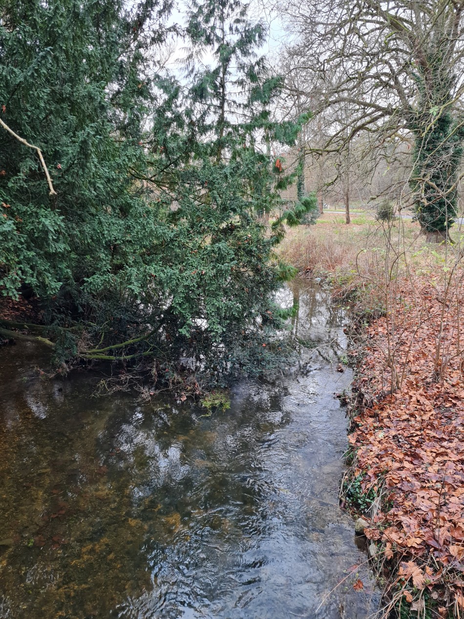 2015-06-04 20 Barnham.jpg