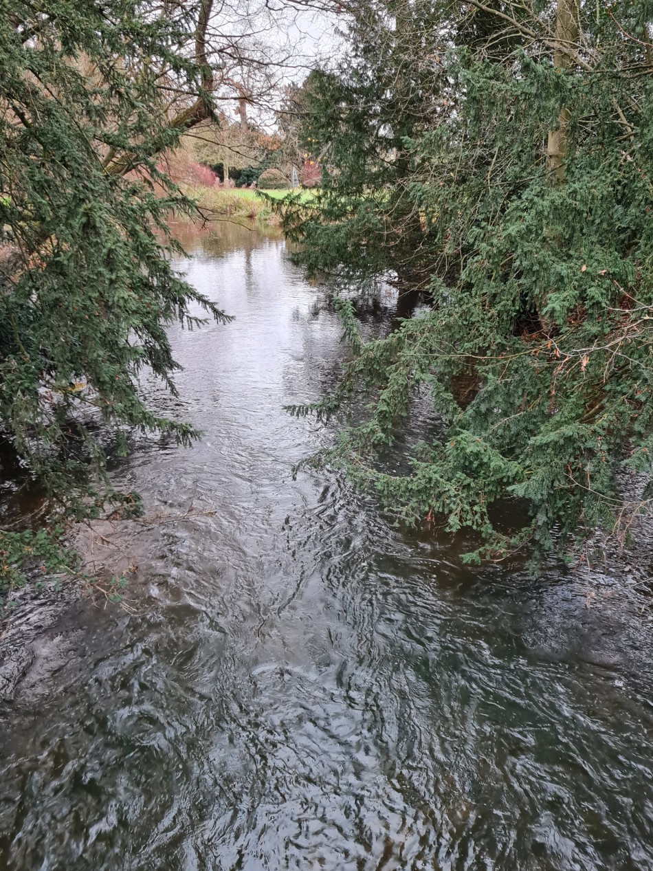 2015-06-04 21 Barnham.jpg