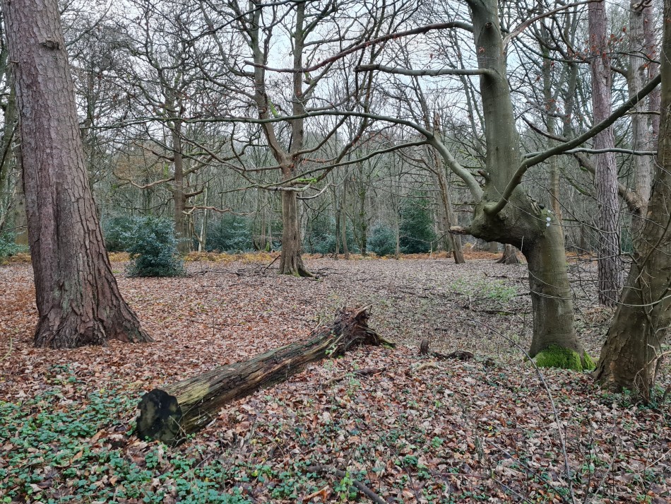 2015-06-04 22 Barnham.jpg