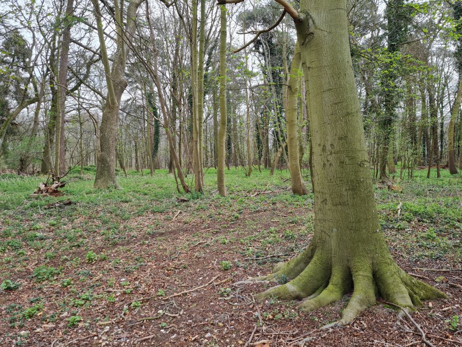 2022-04-14 06 Angles Way 4 - Barnham.jpg