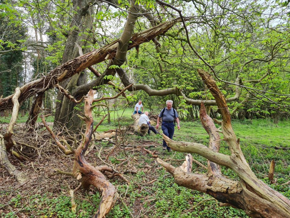 2022-04-14 08 Angles Way 4 - Barnham.jpg