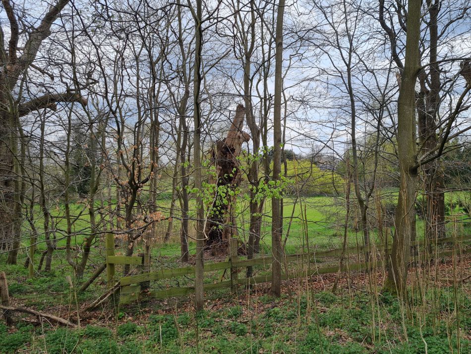 2022-04-14 09 Angles Way 4 - Barnham.jpg