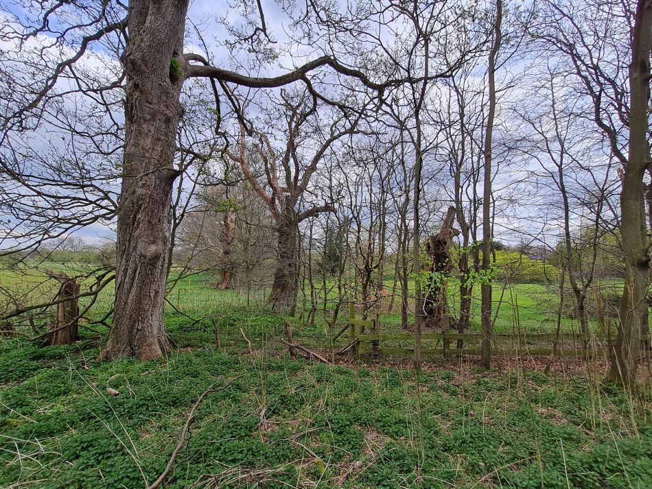 2022-04-14 10 Angles Way 4 - Barnham.jpg