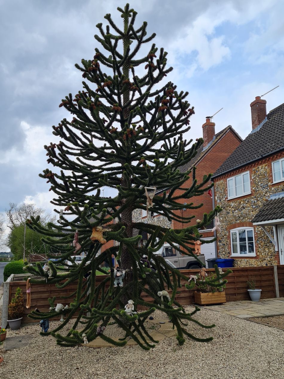 2022-04-14 28 Angles Way 4 - Barnham.jpg