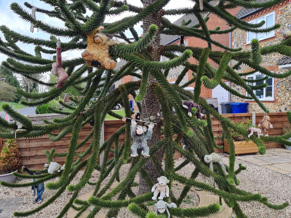 2022-04-14 29 Angles Way 4 - Barnham.jpg