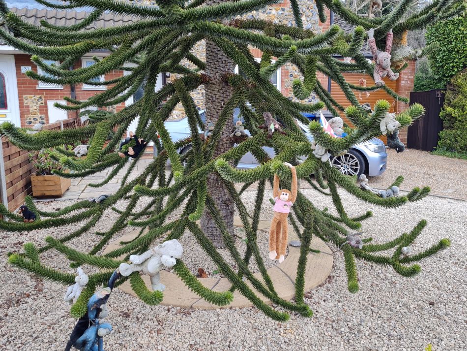 2022-04-14 30 Angles Way 4 - Barnham.jpg