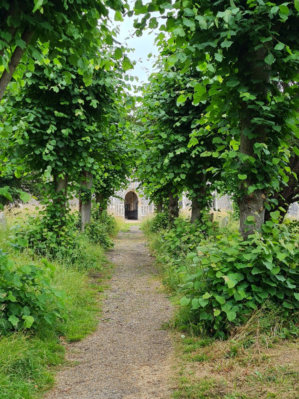 2022-06-29 05 Kelsale.jpg