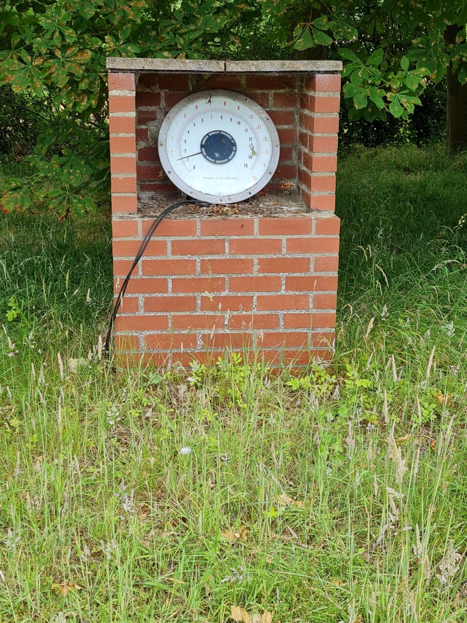 2022-06-29 11 Kelsale.jpg