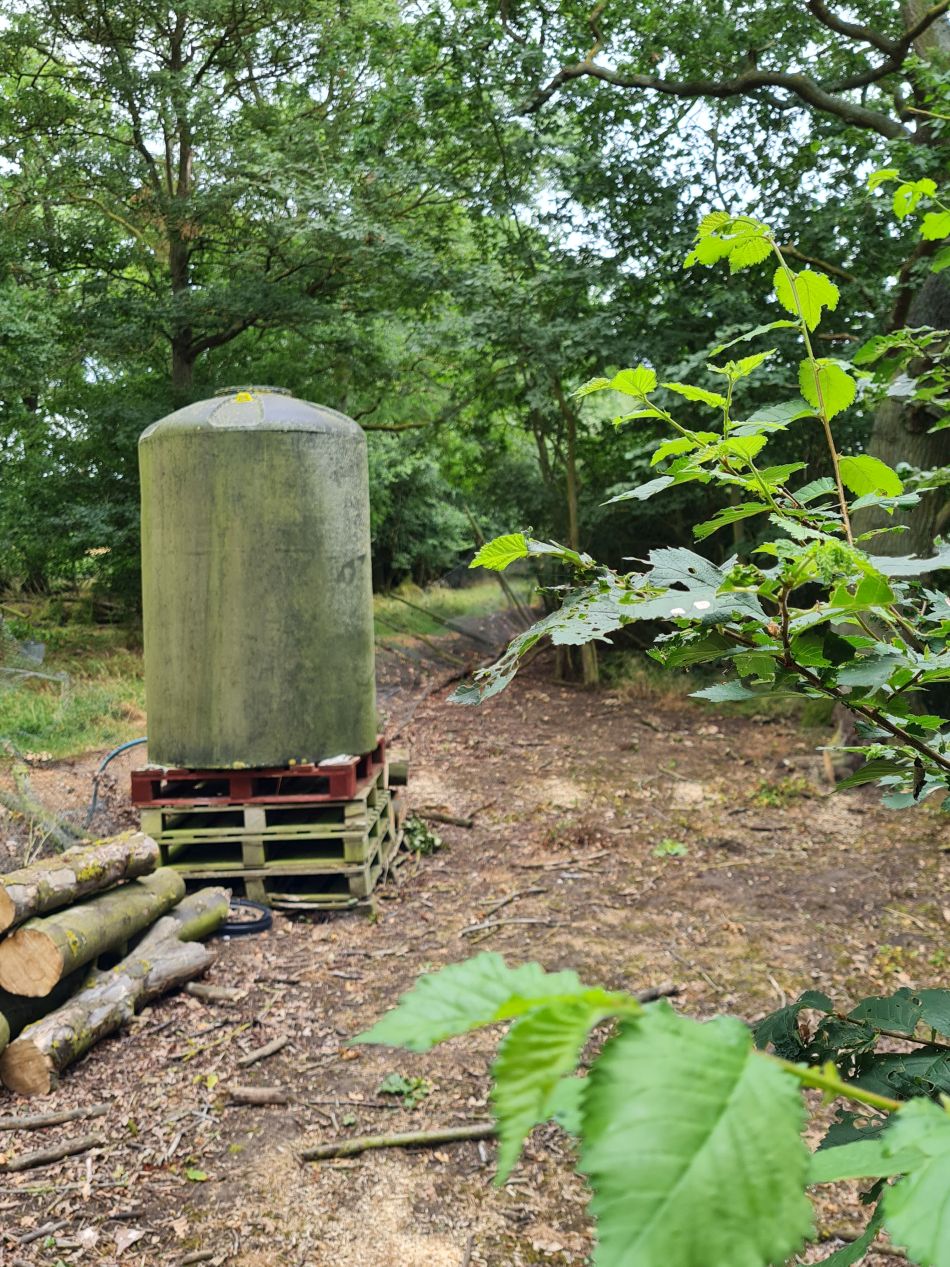 2022-06-29 14 Kelsale.jpg