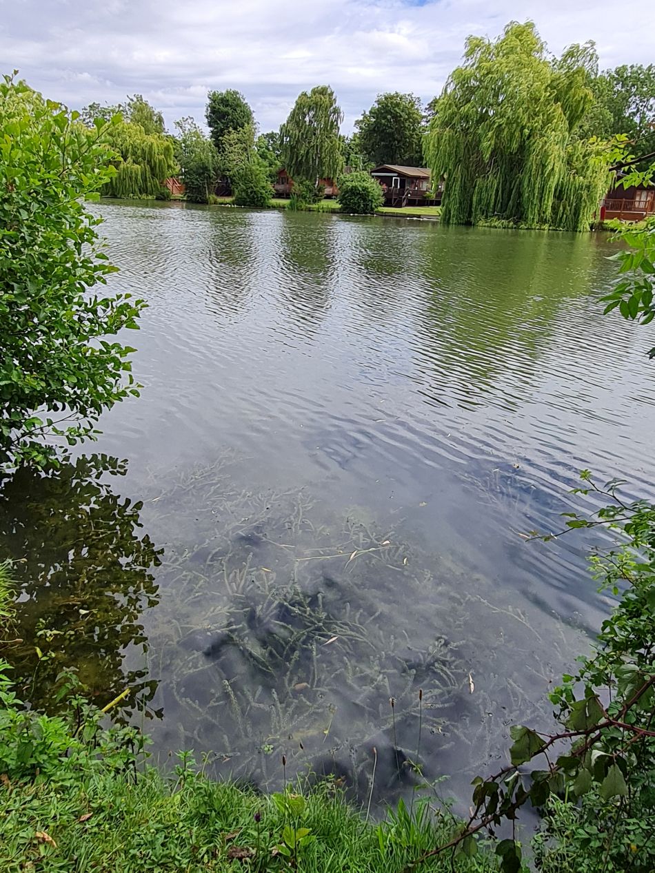 2022-06-29 15 Kelsale.jpg