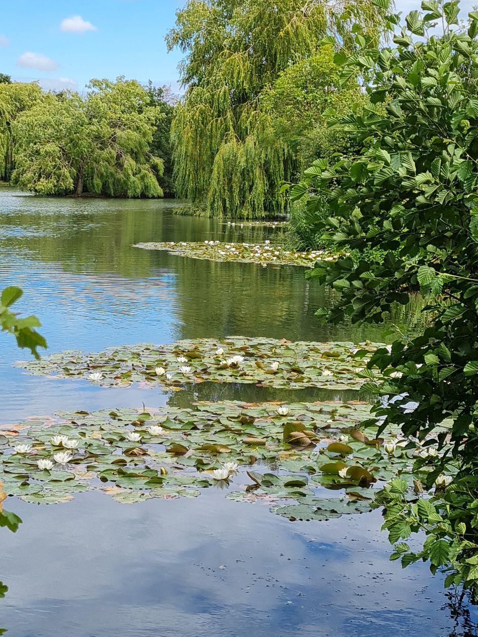 2022-06-29 18 Kelsale.jpg