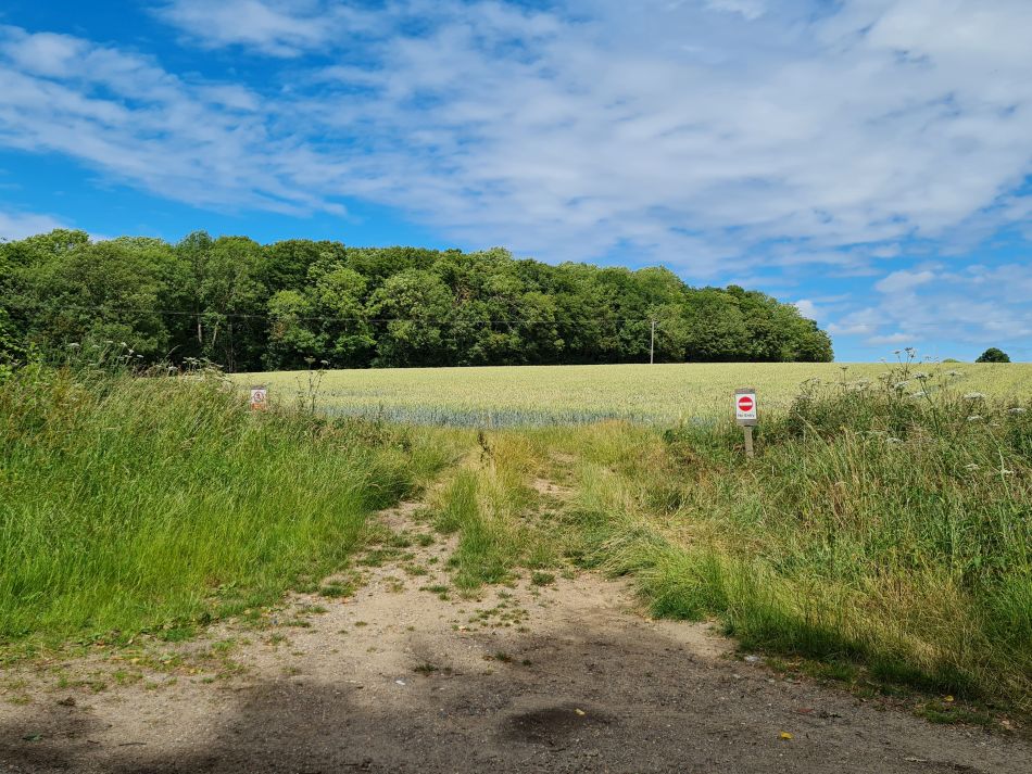 2022-06-29 21 Kelsale.jpg