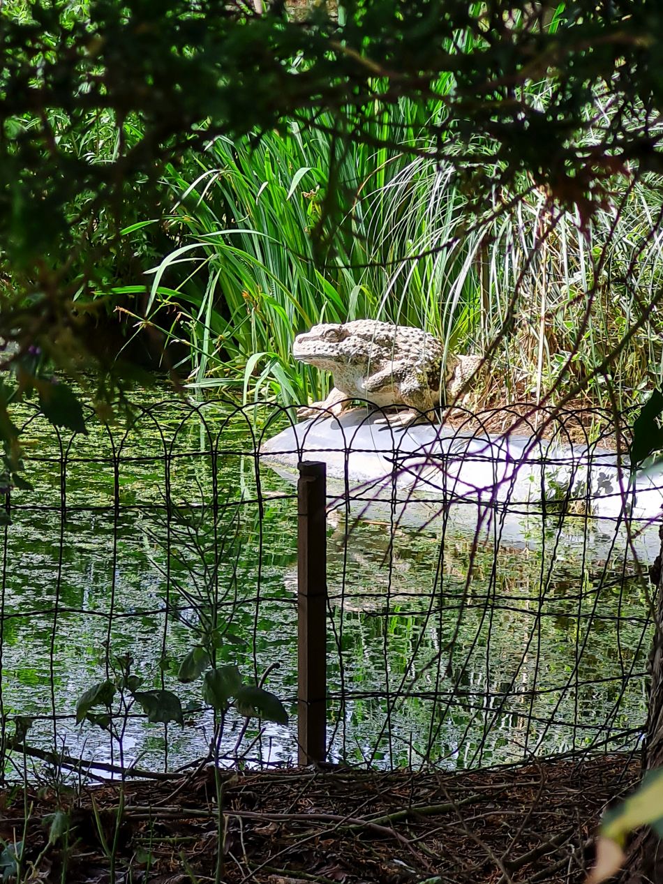 2022-06-29 22 Kelsale.jpg