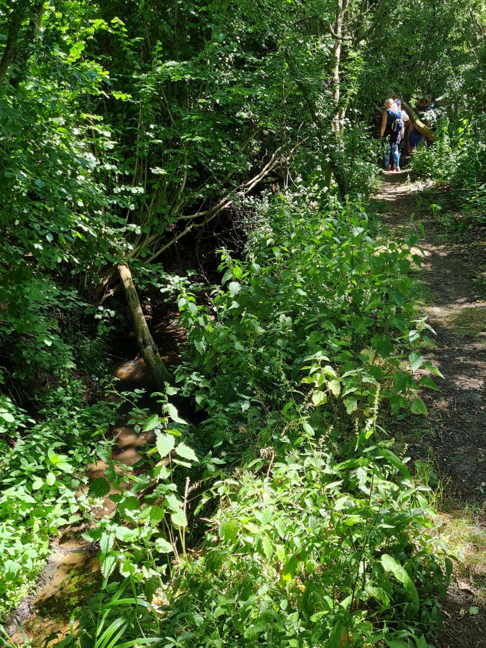 2022-06-29 24 Kelsale.jpg