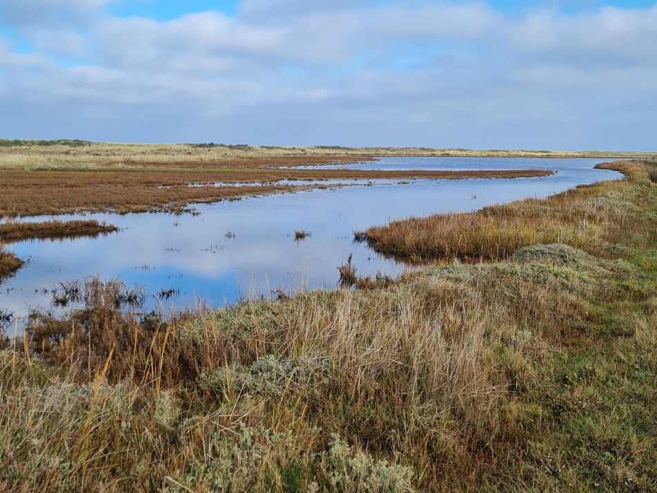 2022-11-12 13 Hunstanton.jpg