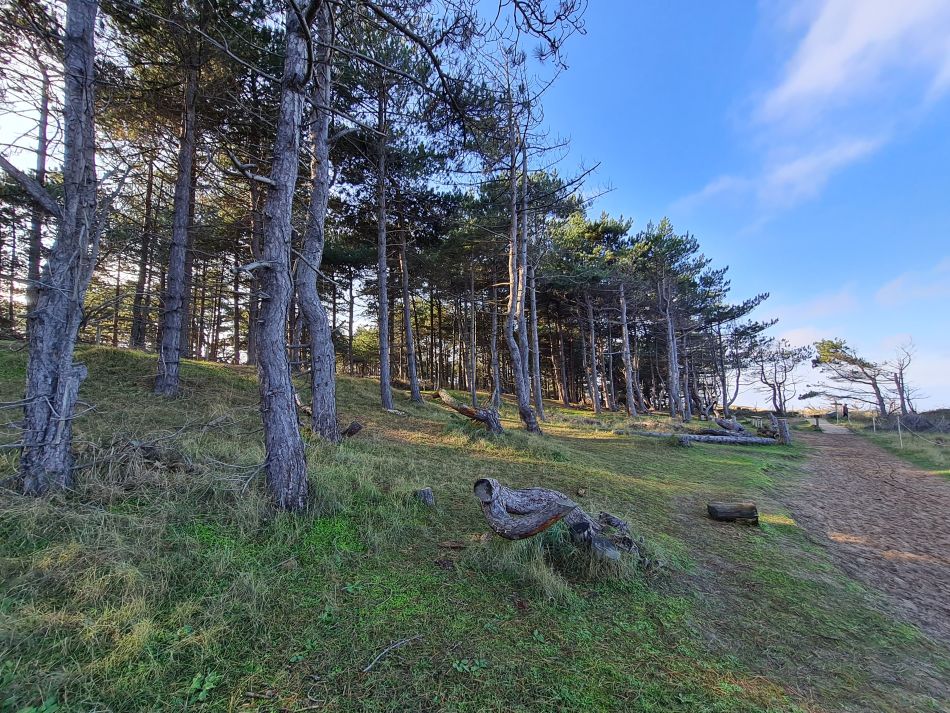 2022-11-12 19 Hunstanton.jpg