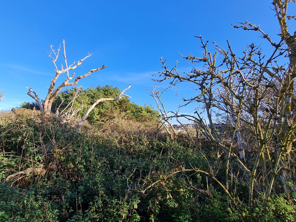 2022-11-12 24 Hunstanton.jpg